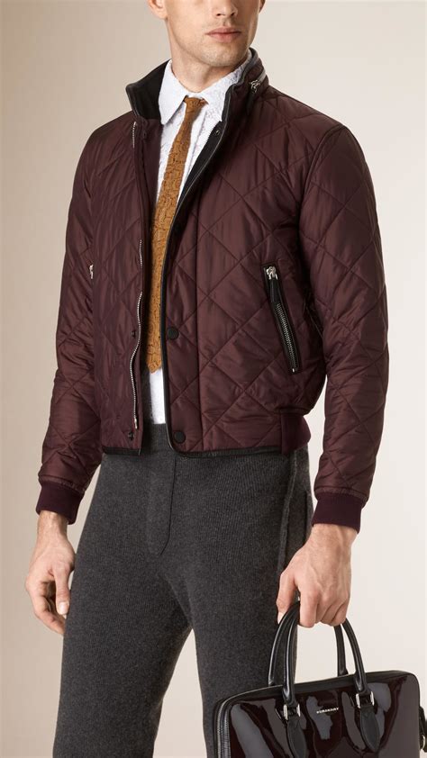 burberry brit padded bomber jacket|Burberry quilted jacket men.